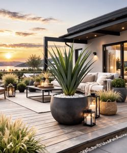 Hovedbilde Kaktus plante H:96cm