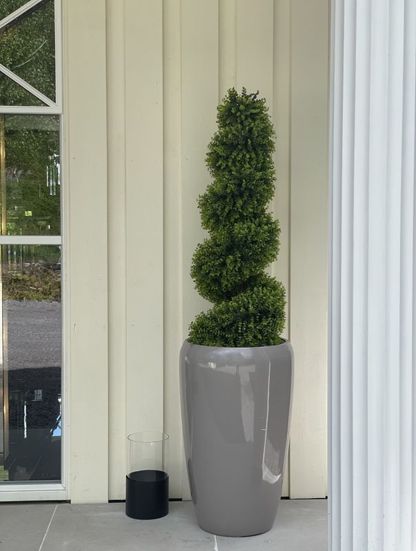  Spiral Buxbom H:120cm