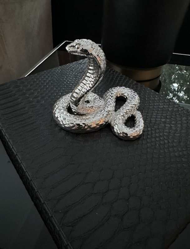 Cobra skrin silver/black 