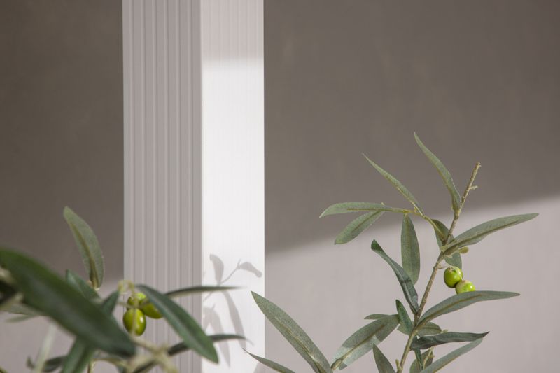 LAZIO Pergola  393×293